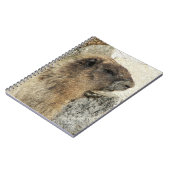 Carnet Photo de la faune de la marmotte de Hoary (Côté gauche)