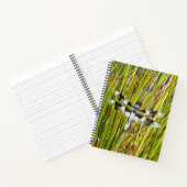 Carnet Photo de la libellule Common Whitetail Skimmer (Intérieur)
