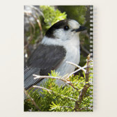 Carnet Photo de la nature de Canada Jay (Verso)