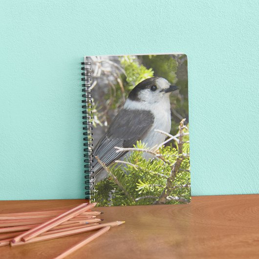 Carnet Photo de la nature de Canada Jay