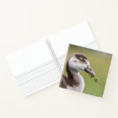 Carnet Photo de la nature de mignonne Goose Chick (Intérieur)