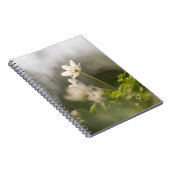 Carnet Photo de la nature des fleurs blanches (Côté Droit)
