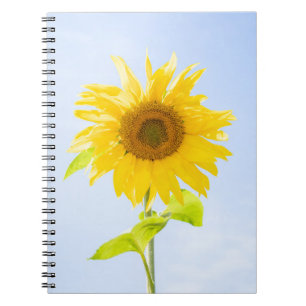 Carnet Photo de la nature des tourntournesols