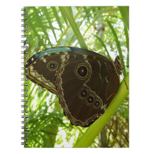 Carnet Photo de la nature du papillon bleu Morpho