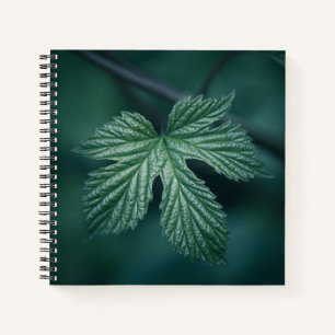 Carnet Photo de la nature humaine