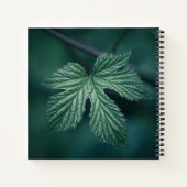 Carnet Photo de la nature humaine (Dos)