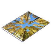Carnet photo de la spirale d'automne (Côté gauche)