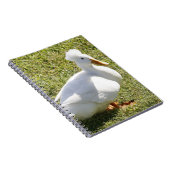 Carnet photo de la spirale de canard Pekin mis en  (Côté Droit)