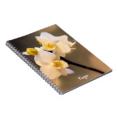Carnet photo de la spirale de l'orchidée blanche (Côté Droit)