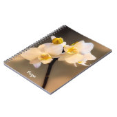 Carnet photo de la spirale de l'orchidée blanche (Côté gauche)