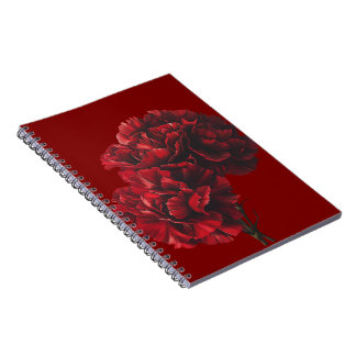 Carnet photo de la spirale des oeillets rouges