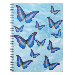 Carnet photo de la spirale des papillons bleus