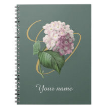 Carnet photo de la spirale d'Hydrangea
