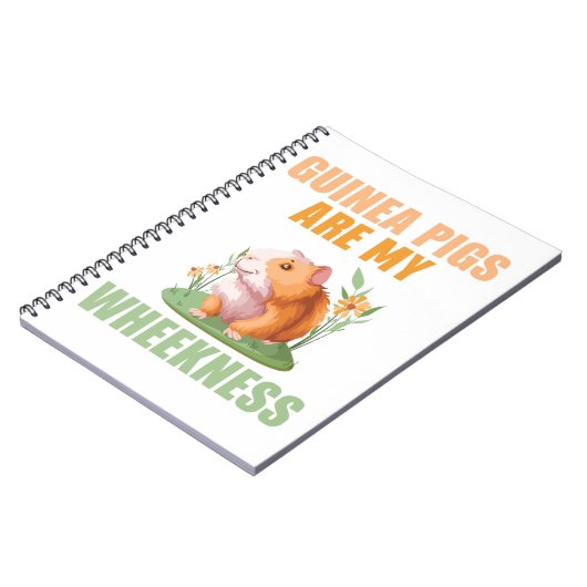 Carnet photo de la vitesse (Côté gauche)