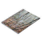 Carnet photo de l'Araignée de Jardin Européenne (Côté gauche)