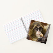 Carnet Photo de l'arbre de l'Escalade singe (Intérieur)