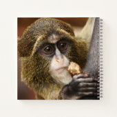 Carnet Photo de l'arbre de l'Escalade singe (Dos)