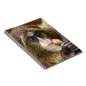 Carnet Photo de l'arbre de l'Escalade singe (Côté Droit)