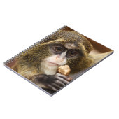 Carnet Photo de l'arbre de l'Escalade singe (Côté gauche)