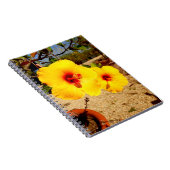 Carnet photo de l'Hibiscus jaune (Côté Droit)