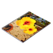 Carnet photo de l'Hibiscus jaune (Côté gauche)