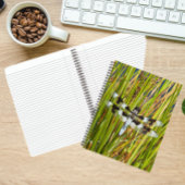 Carnet Photo de libellule d'écrémage blanc commun