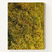 Carnet Photo de mousse verte citron vibrante (Dos)
