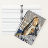 Carnet Photo de nature d'écureuil terrestre à manteau dor (À l'intérieur)