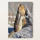 Carnet Photo de nature d'écureuil terrestre à manteau dor (Verso)