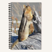 Carnet Photo de nature d'écureuil terrestre à manteau dor (Recto)