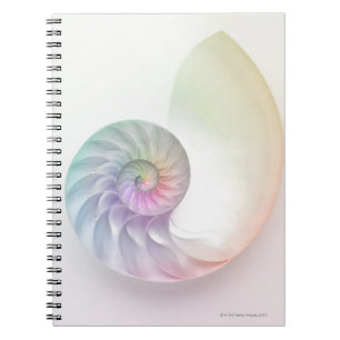 Carnet Photo de nausolée de couleur artistique