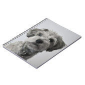 Carnet Photo de portrait de chiot de Schnauzer (Côté gauche)