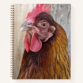 Carnet Photo de poule rouge (Devant)
