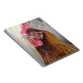 Carnet Photo de poule rouge (Côté Droit)
