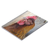 Carnet Photo de poule rouge (Côté gauche)