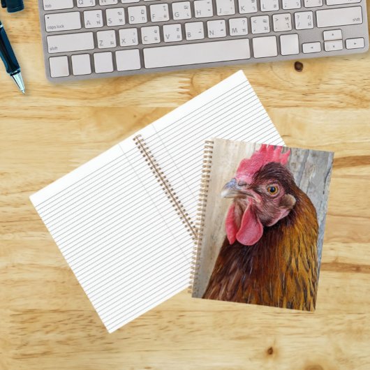 Carnet Photo de poule rouge