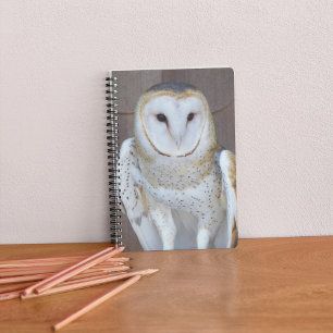 Carnet Photo de Raptor de Chouette-Barne