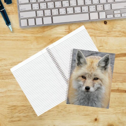 Carnet Photo de Red Fox mûre