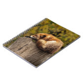 Carnet Photo de renard dormant (Côté gauche)
