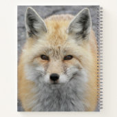 Carnet Photo de renard roux mignon (Dos)