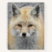 Carnet Photo de renard roux mignon (Devant)