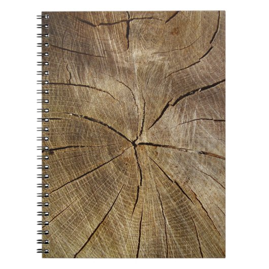 Carnet photo de section de coupe de chêne (Devant)