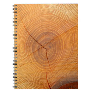 Carnet photo de section de coupe de l'arbre Acacia
