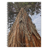 Carnet Photo de séquoia géant (Devant)