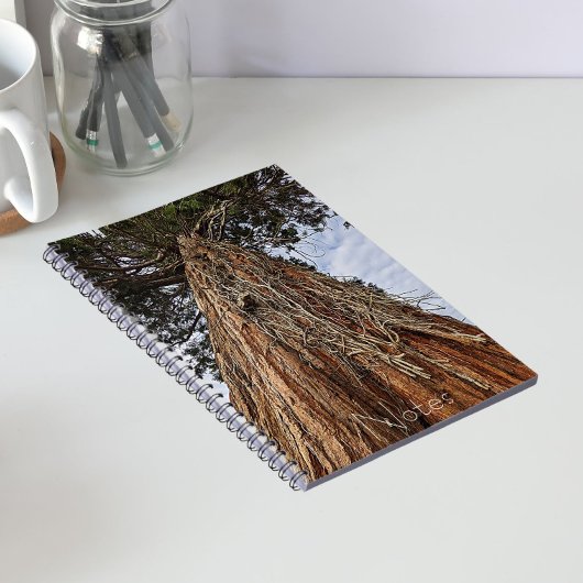 Carnet Photo de séquoia géant