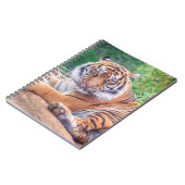 Carnet Photo de tigre étonnante (Côté gauche)
