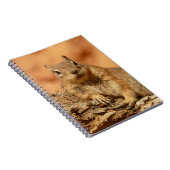 Carnet Photo d'écureuil terrestre (Côté Droit)