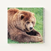 Carnet Photo d'ours Brown (Dos)
