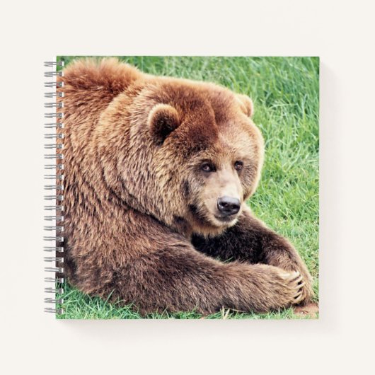 Carnet Photo d'ours Brown (Devant)