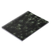 Carnet Photo du plante de sapin vert (Côté gauche)